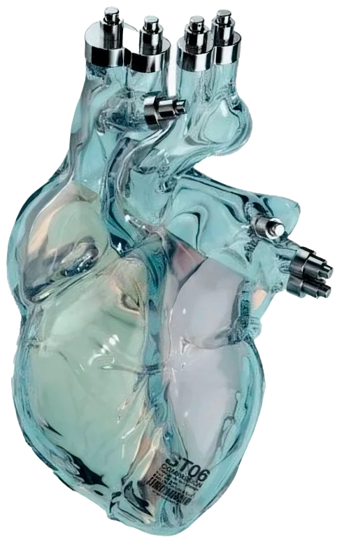 3D модель імплантату