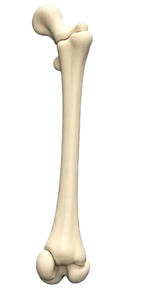 Кістковий імплантат Biodrook