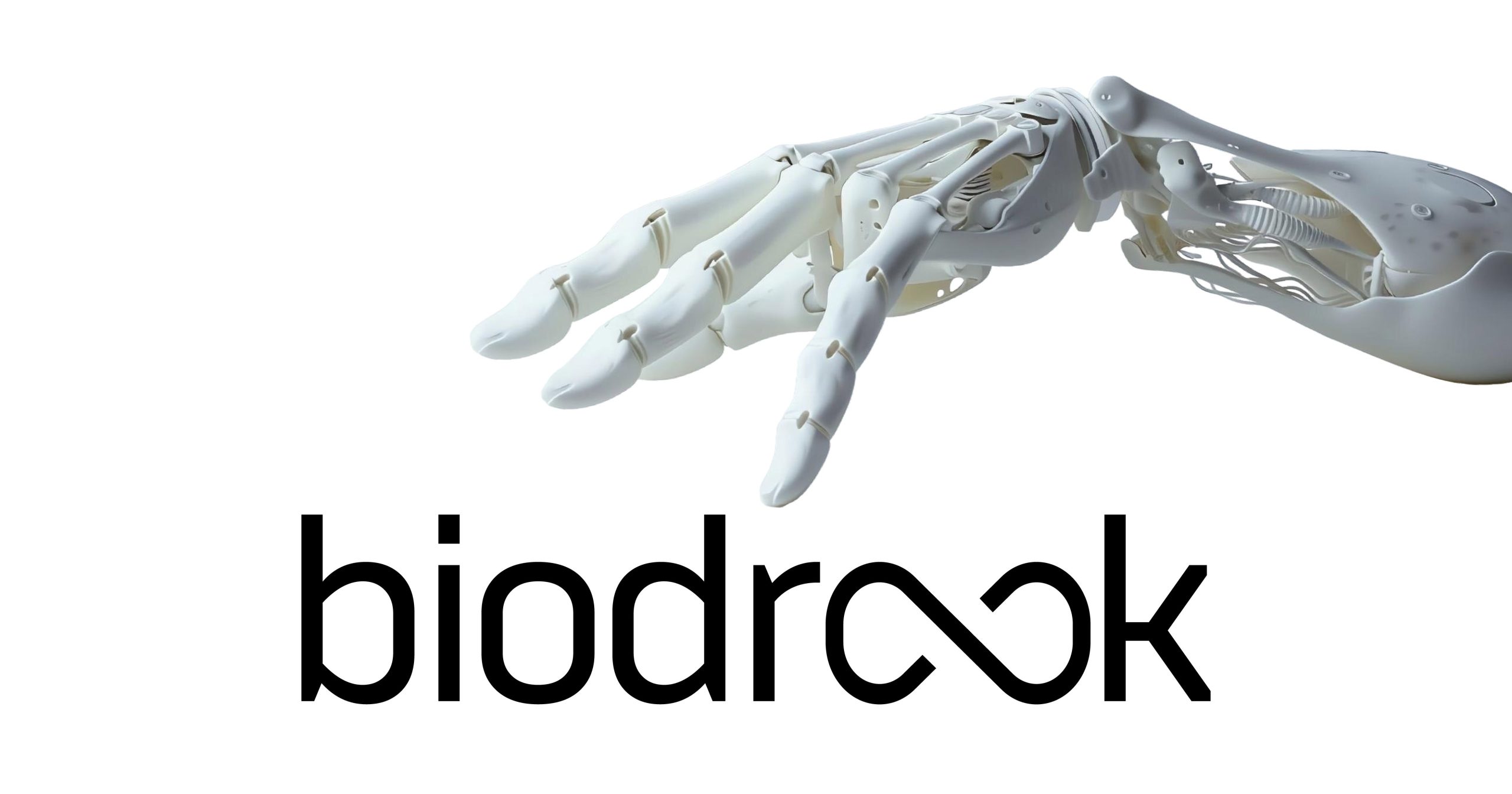 bidrook’s Mission