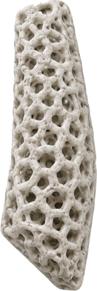 3D-друкований імплантат ResorBone™ — Biodrook