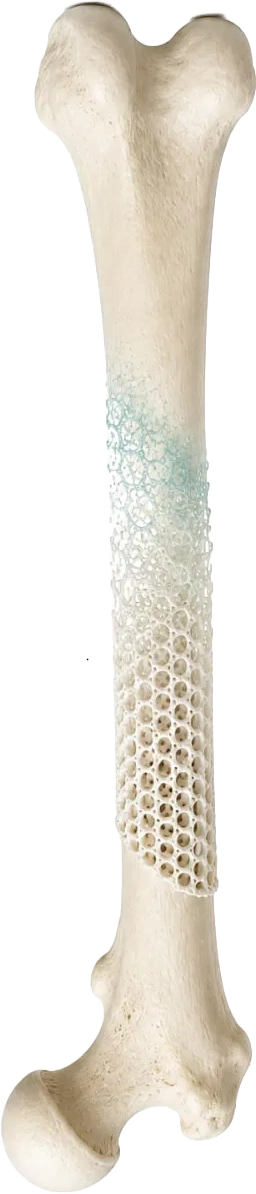 Кістковий імплантат Biodrook